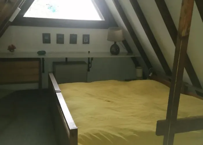 Bergwiese Tatil Evi Siegsdorf