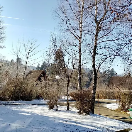 Bergwiese Siegsdorf